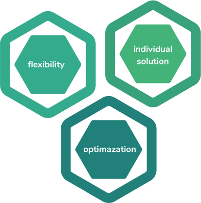 SAP Development